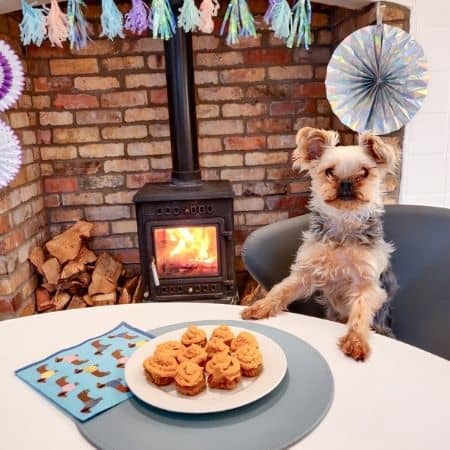 dog-and-people-friendly-pupcakes-recipe.jpg
