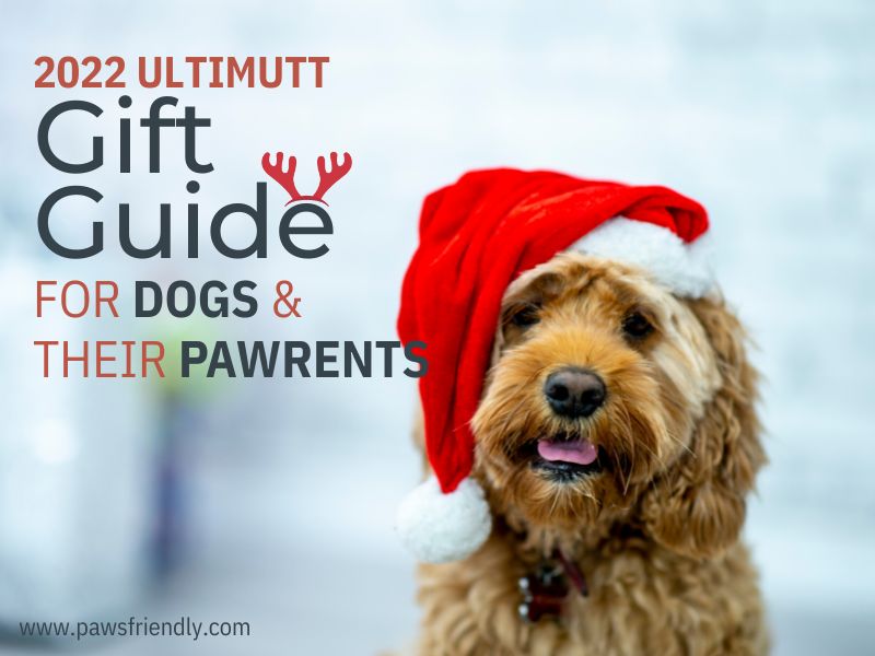 gift_guide_for_dogs_and_their_owners.jpg