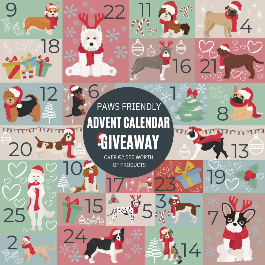 dog_friendly_advent_calendar.png