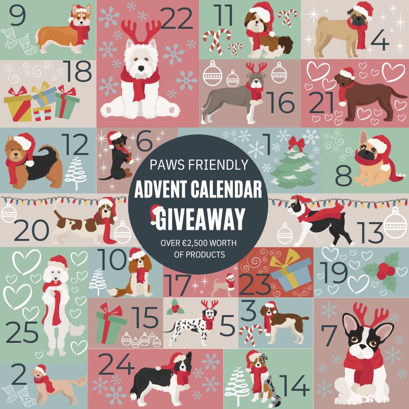 dog_friendly_advent_calendary.jpg