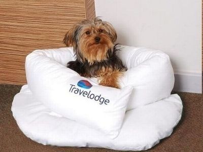 Travelodge Dublin Airport with a friendly staff that welcomes furry guests.jpg
