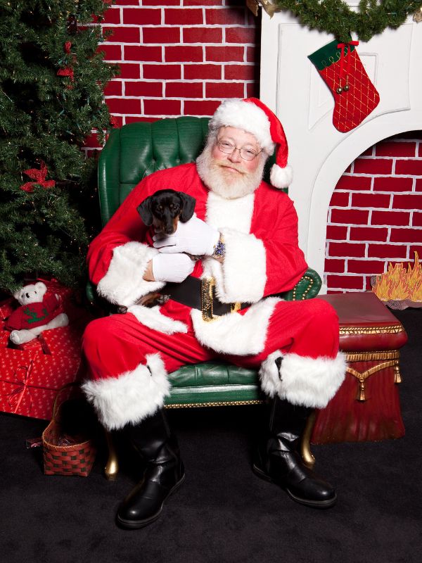 Santa_Claus_holding_a_small_black_and_white_puppy,_with_a_Christmas_tree_backdrop.jpg