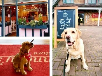 Kenndys Food dog friendly deli pet friendly cafe in clontarf fairview raheny phibsborough.jpg