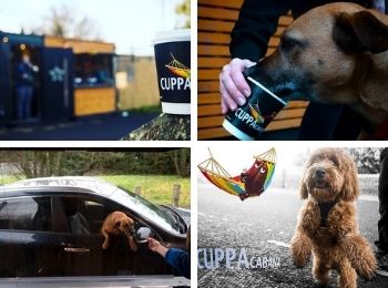 cuppacabana pet friendly coffee container with puppuccino in dublin Donabate.jpg
