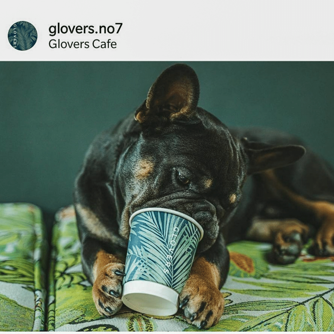 dog-friendly-cafe-puppuccino-ireland-3.png