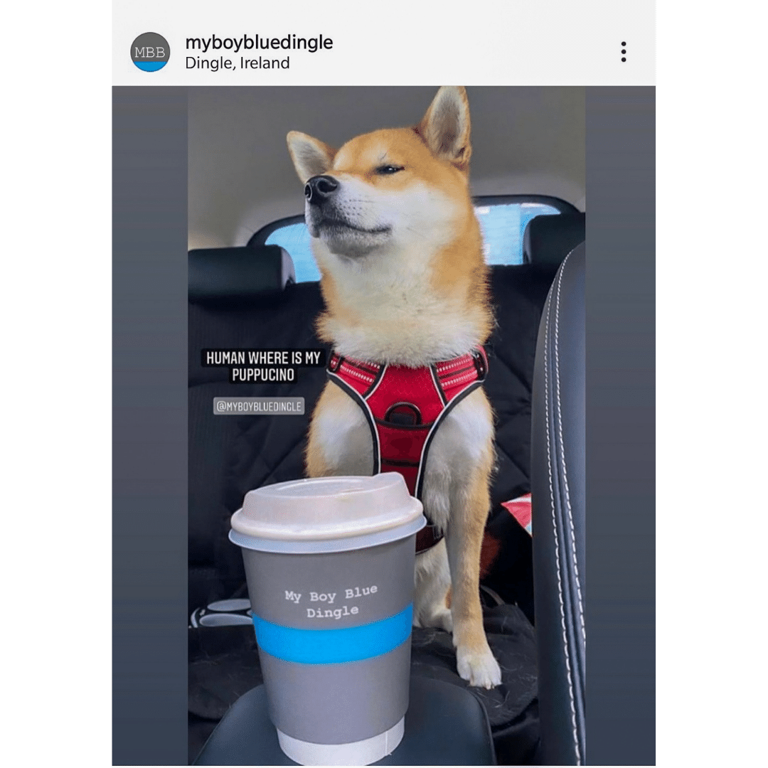 dog-friendly-cafe-puppuccino-ireland-5.png