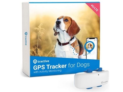 Dog Dad Gift Ideas 2021 - GPS Tracker For Dogs.jpg