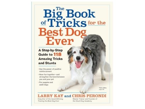 Gifts Ideas From Dog to Dad - The Big Book Of Tricks.jpg