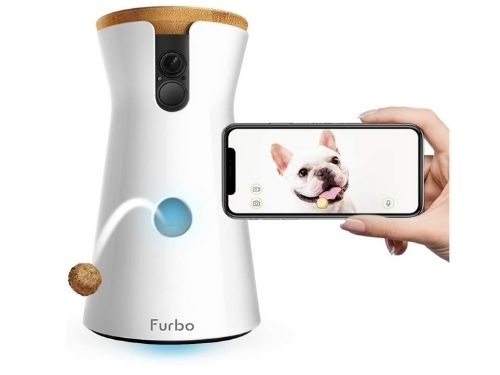 Gifts From Dog To Dad 2021 - Furbo Dog Camera .jpg