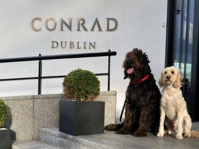 Luxury Hotel Conrad Dublin.jpg