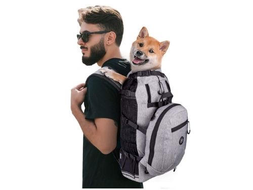 Dog Dad Father's Day Gift Ideas - Proplums Dog Carrier Backpack .jpg