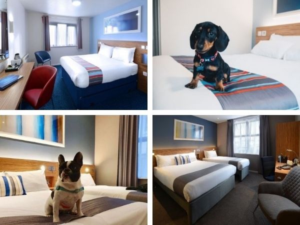 dog-friendly-hotel-chain-travelodge .jpg